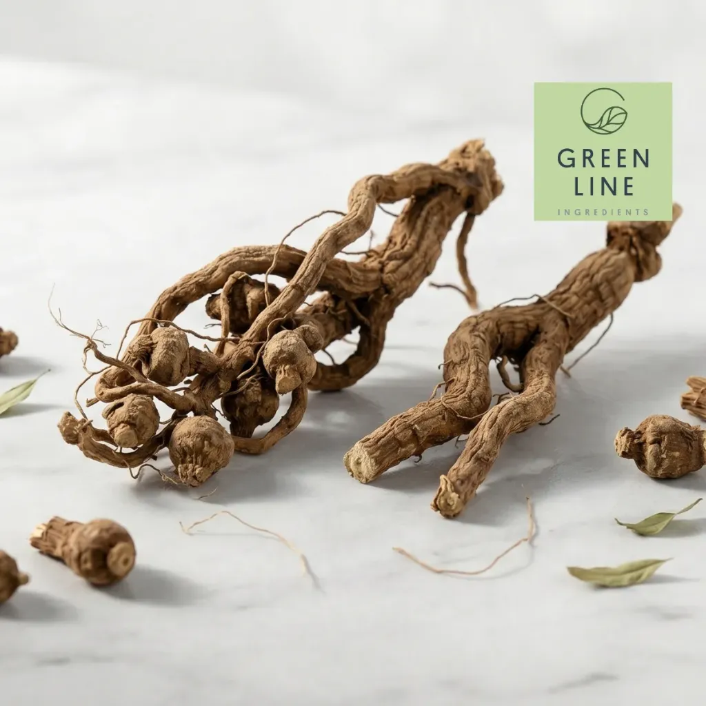 GLB Aletris Farinosa Root