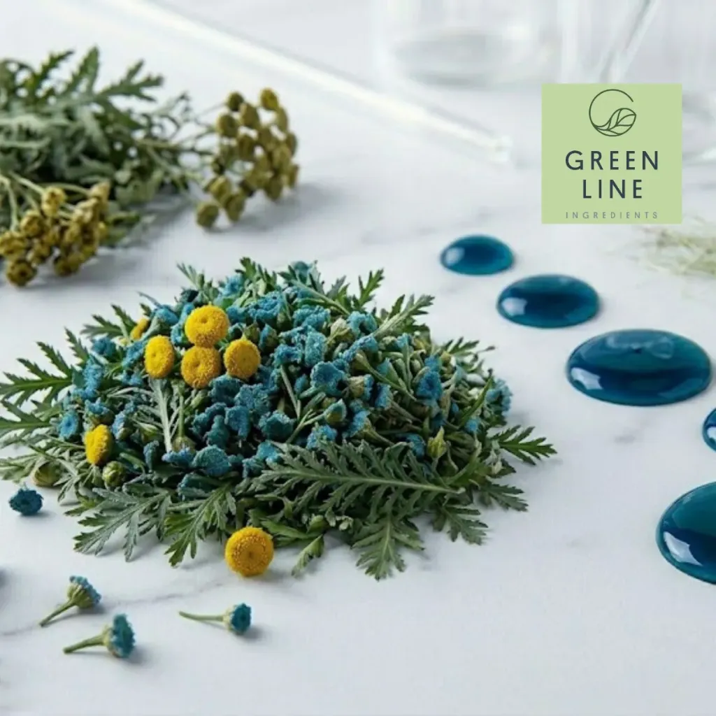 GLB Blue Tansy Extract (5 kg)