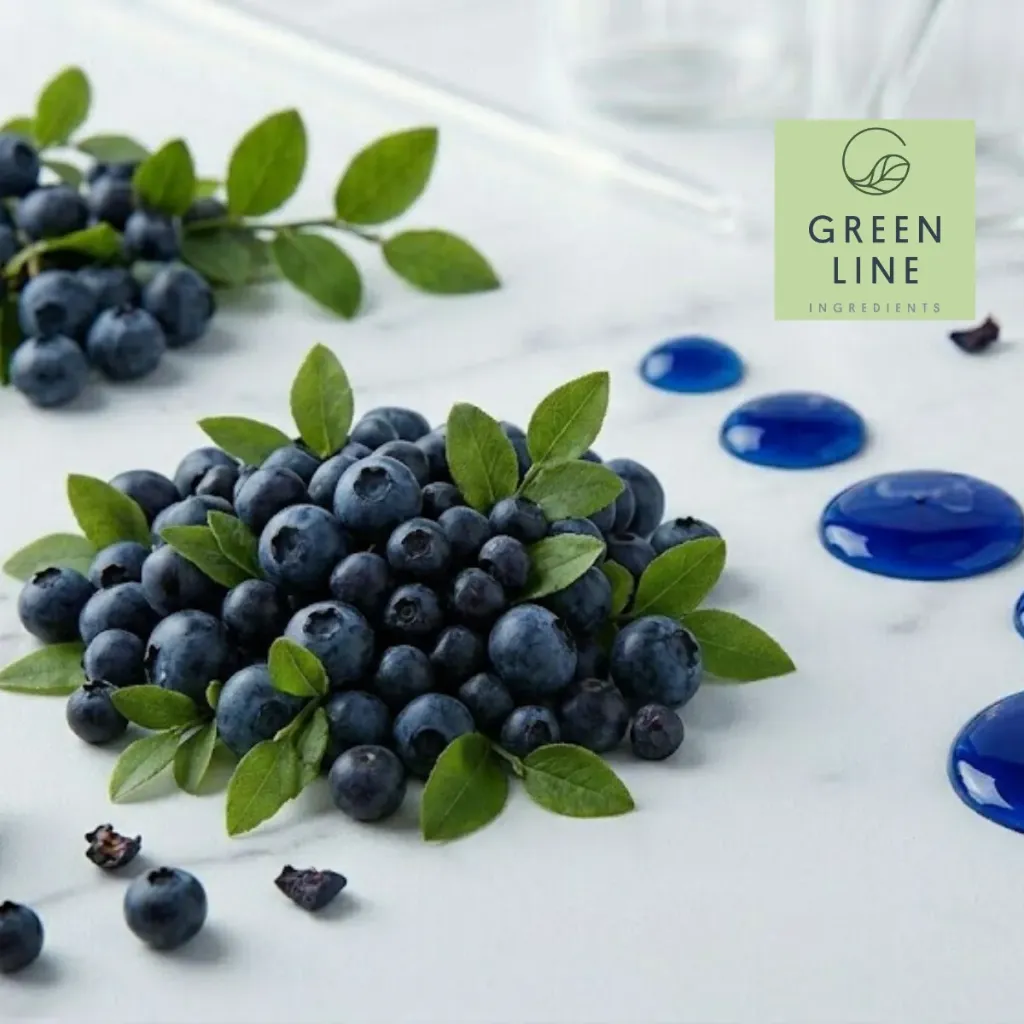 GLB Blueberry Extract (5 kg)