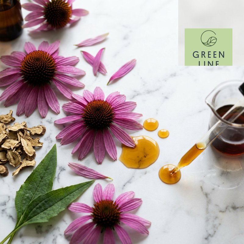 GLB Echinacea Extract (5 kg)