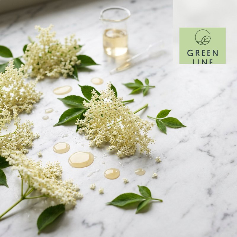GLB Elderflower Extract