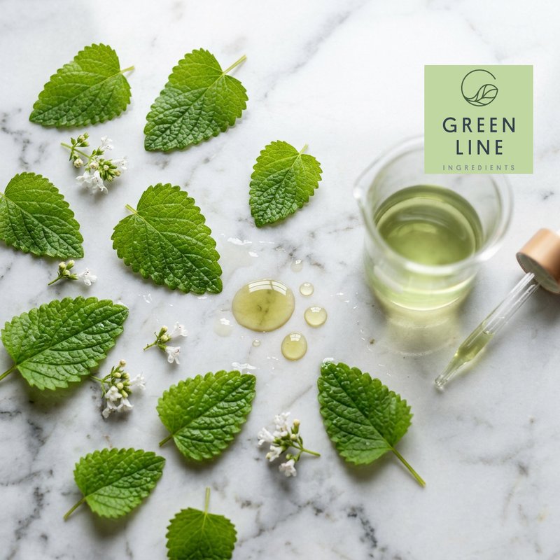 GLB Lemon Balm Extract