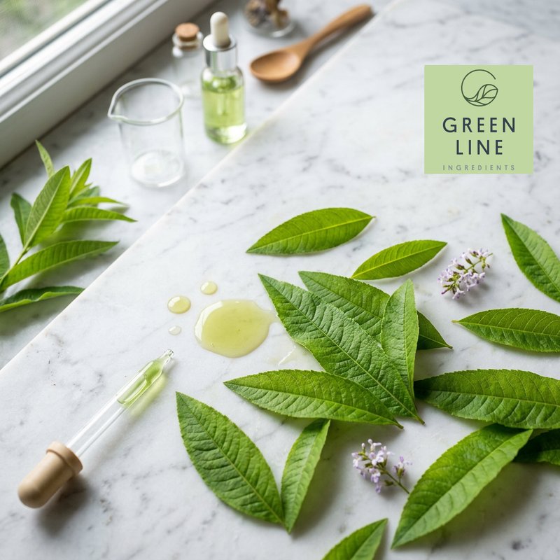 GLB Lemon Verbena Leaf Extract
