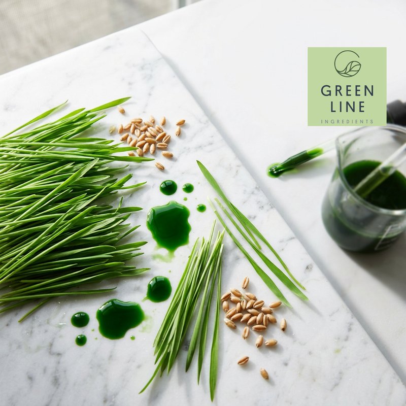 GLB Wheat Grass Extract