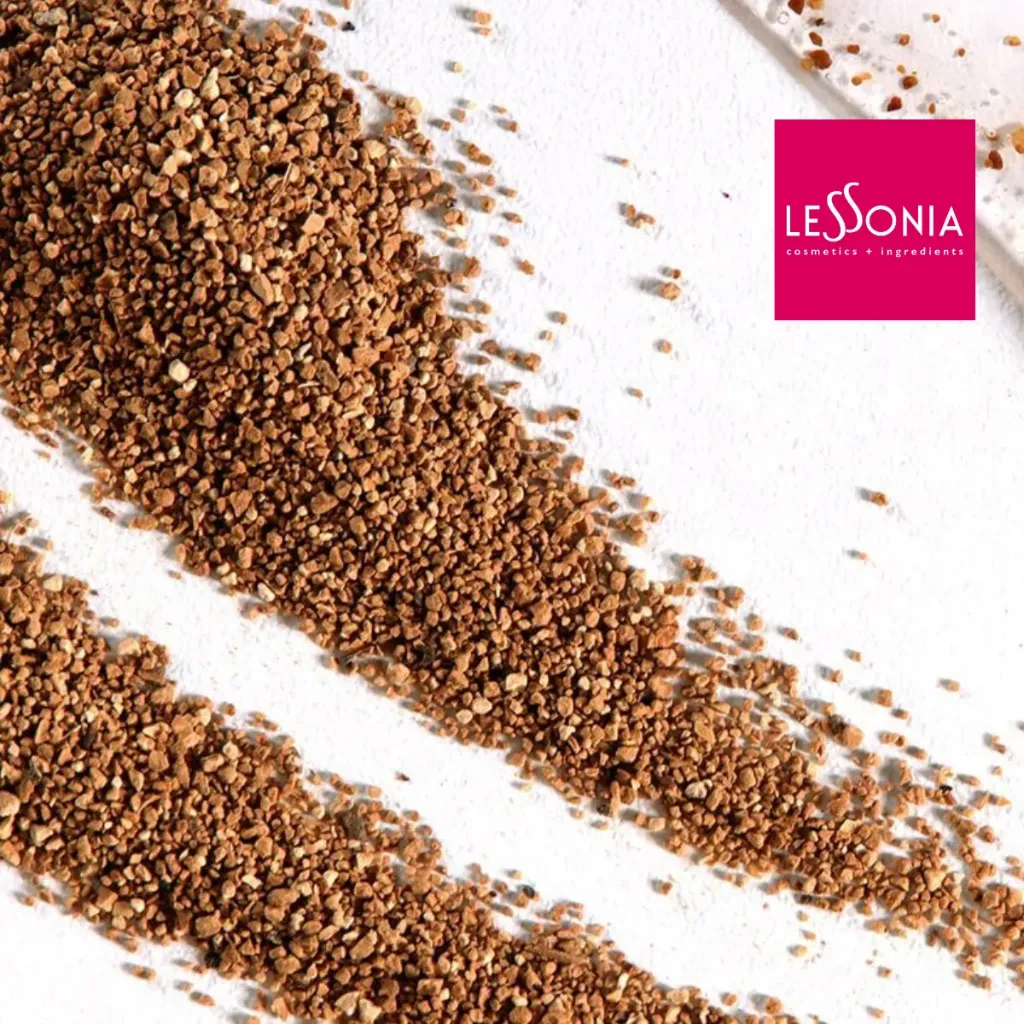 [CIA-V18/1] Apricot BioExfoliator 500 (1 kg)