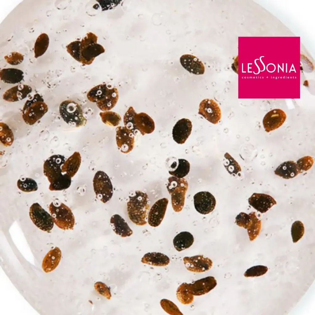 [CM-G354/1] Kiwi Exfoliator 2000 (1 kg)