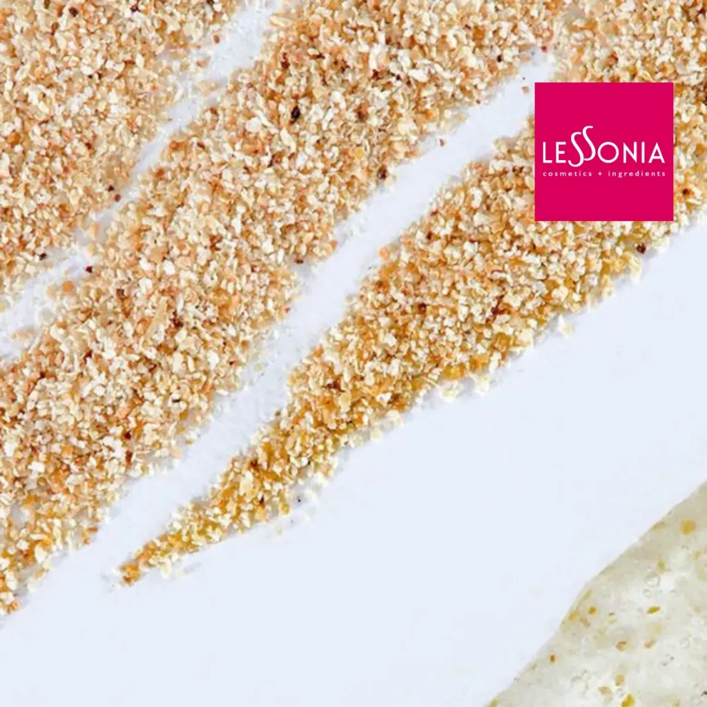 [CM-G12/1] Lemon Exfoliator 500 (1 kg)